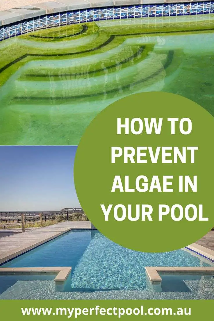 How To Prevent Algae In Pool