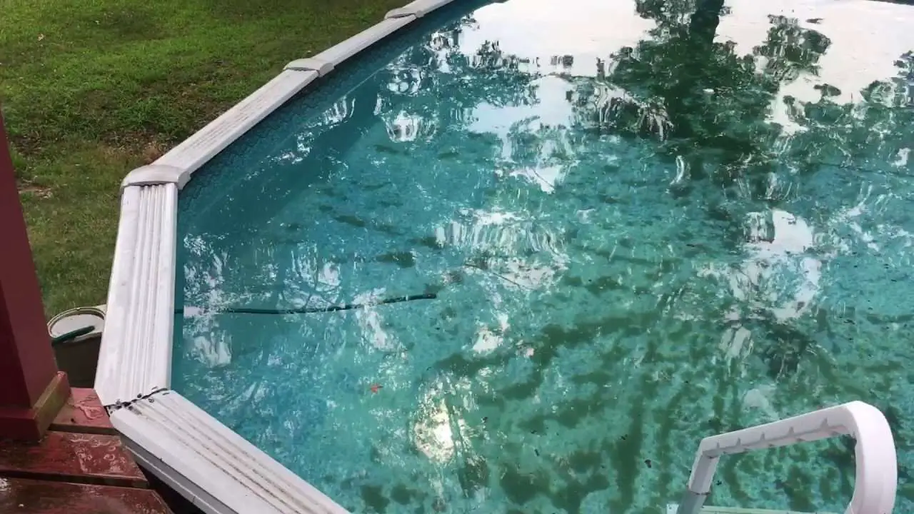 How To Get Black Algae Off Bottom Of Pool