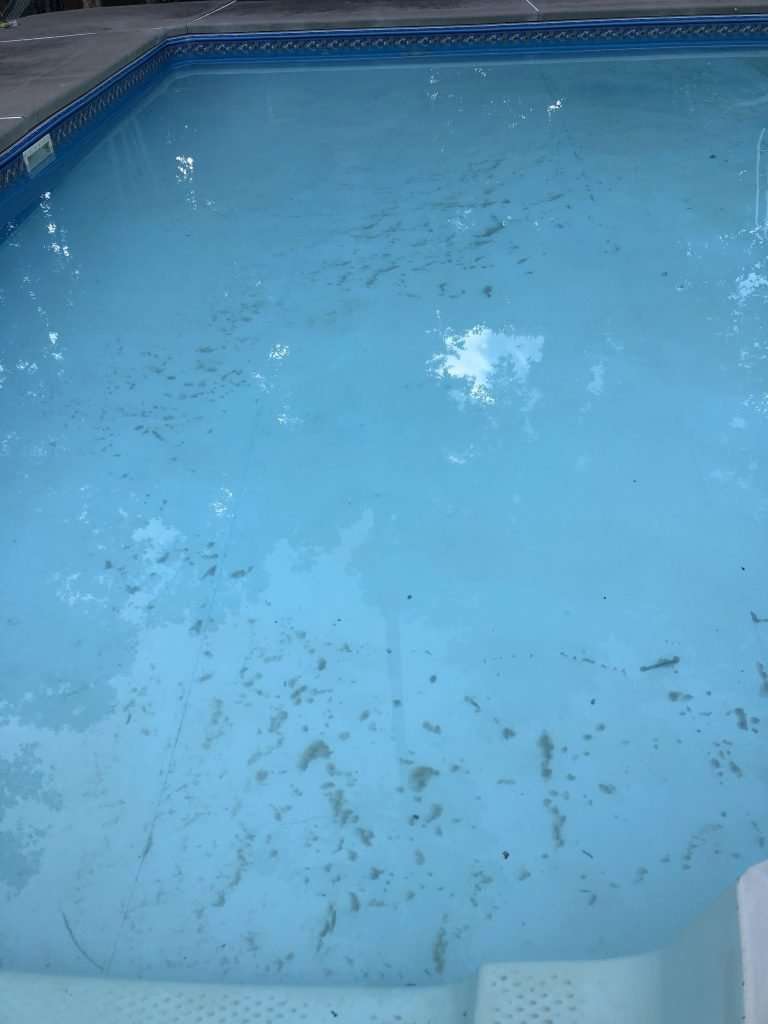 How Do I Kill Algae In My Pool